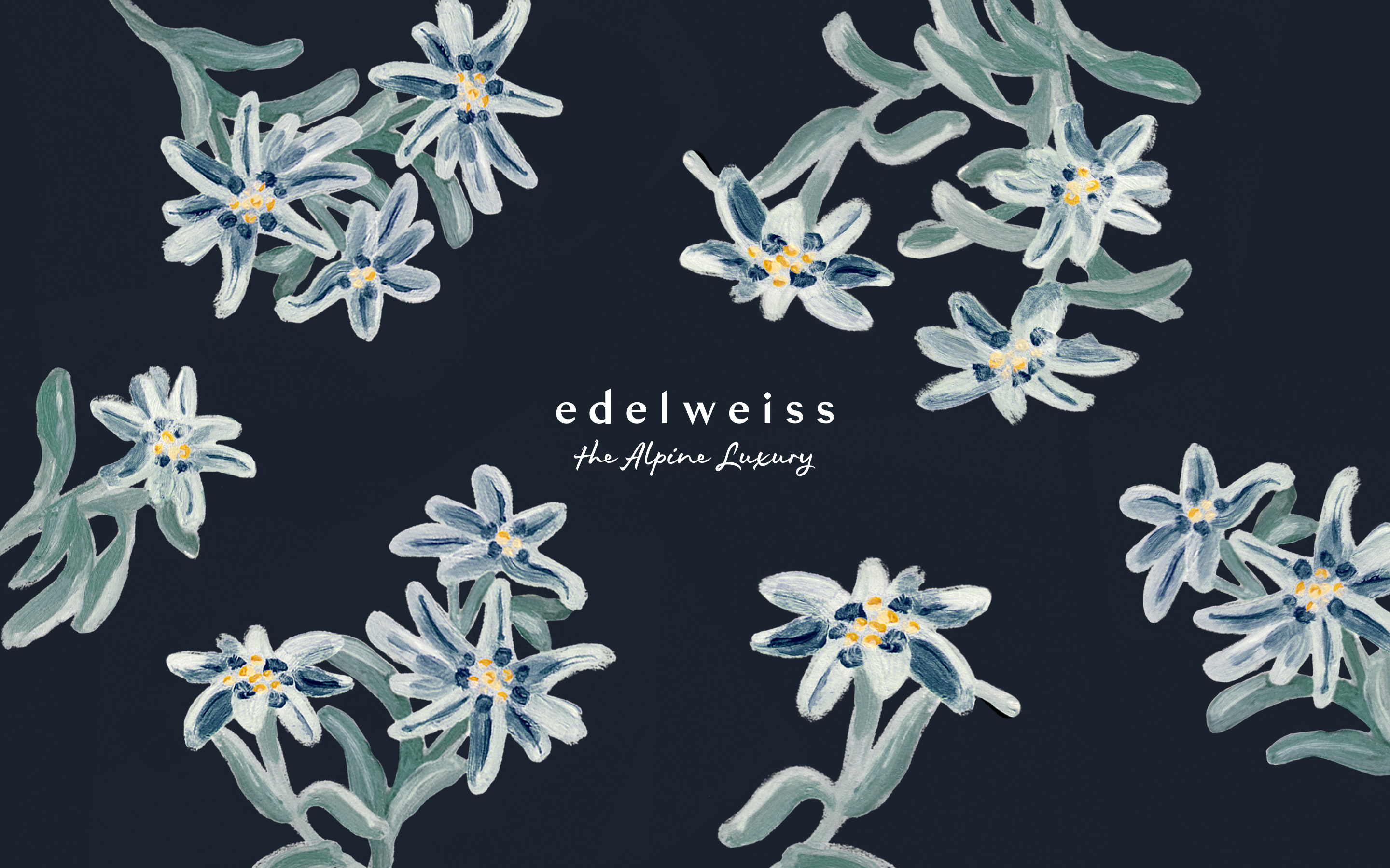 Edelweiss The Alpine Wallpaper