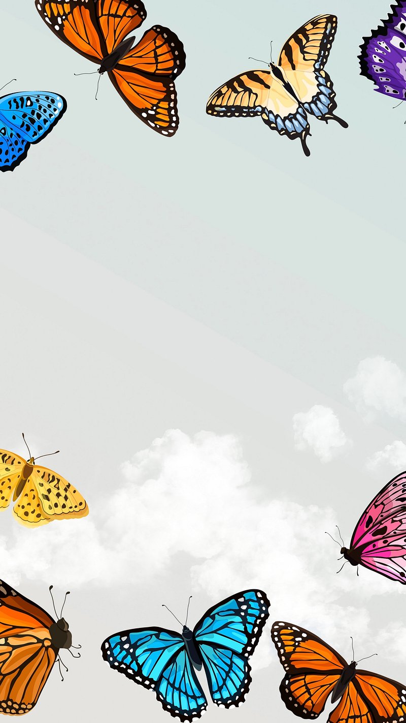 Butterfly iPhone Wallpaper Image