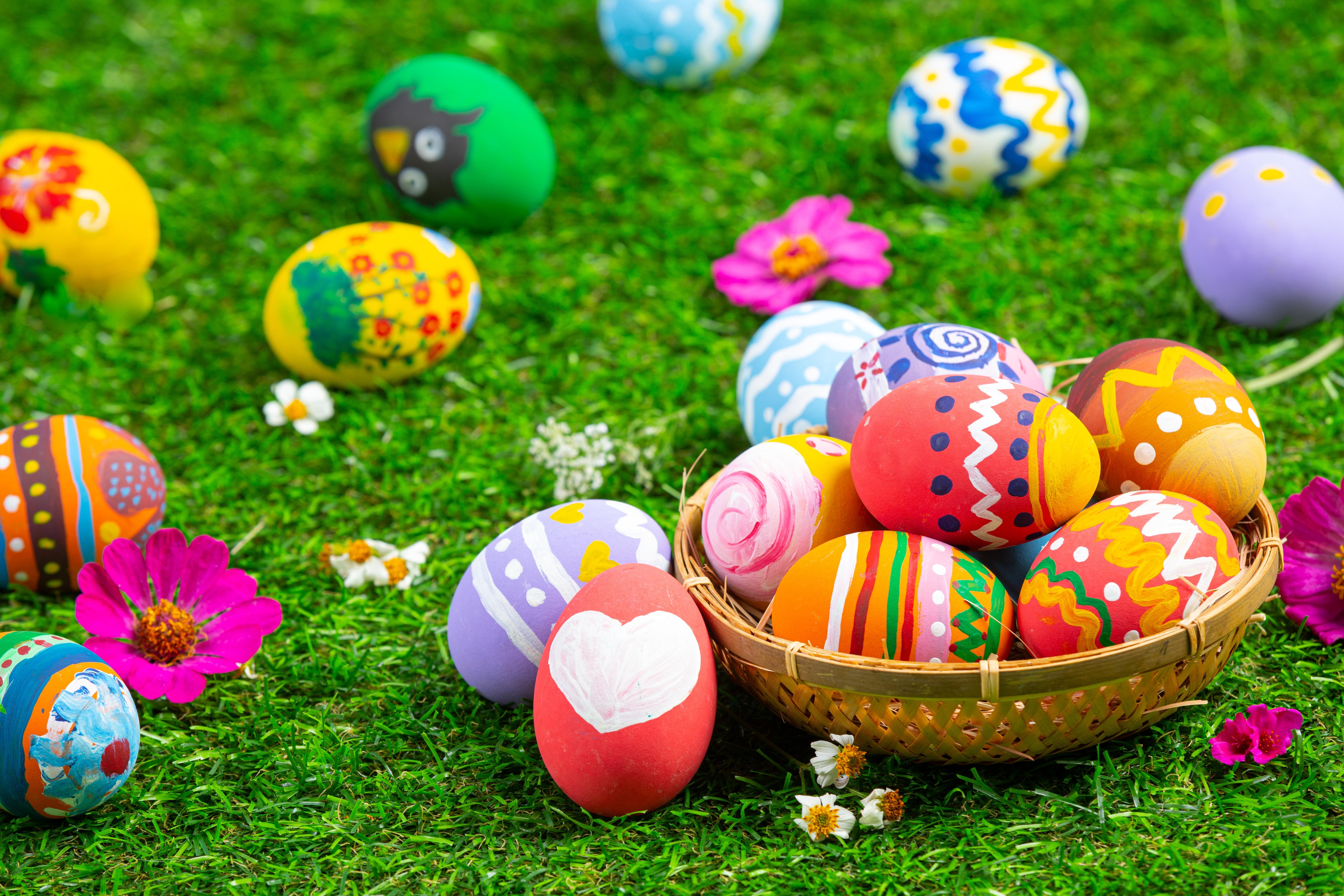 Easter Egg HD Wallpaper And Background