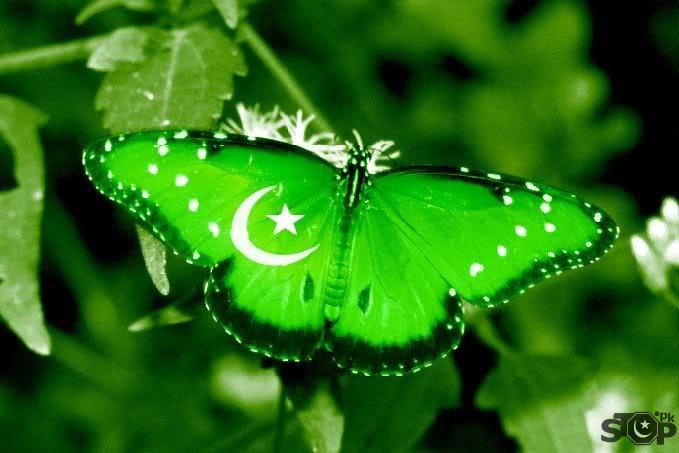 Posted In Pakistani Flag Leave A Ment