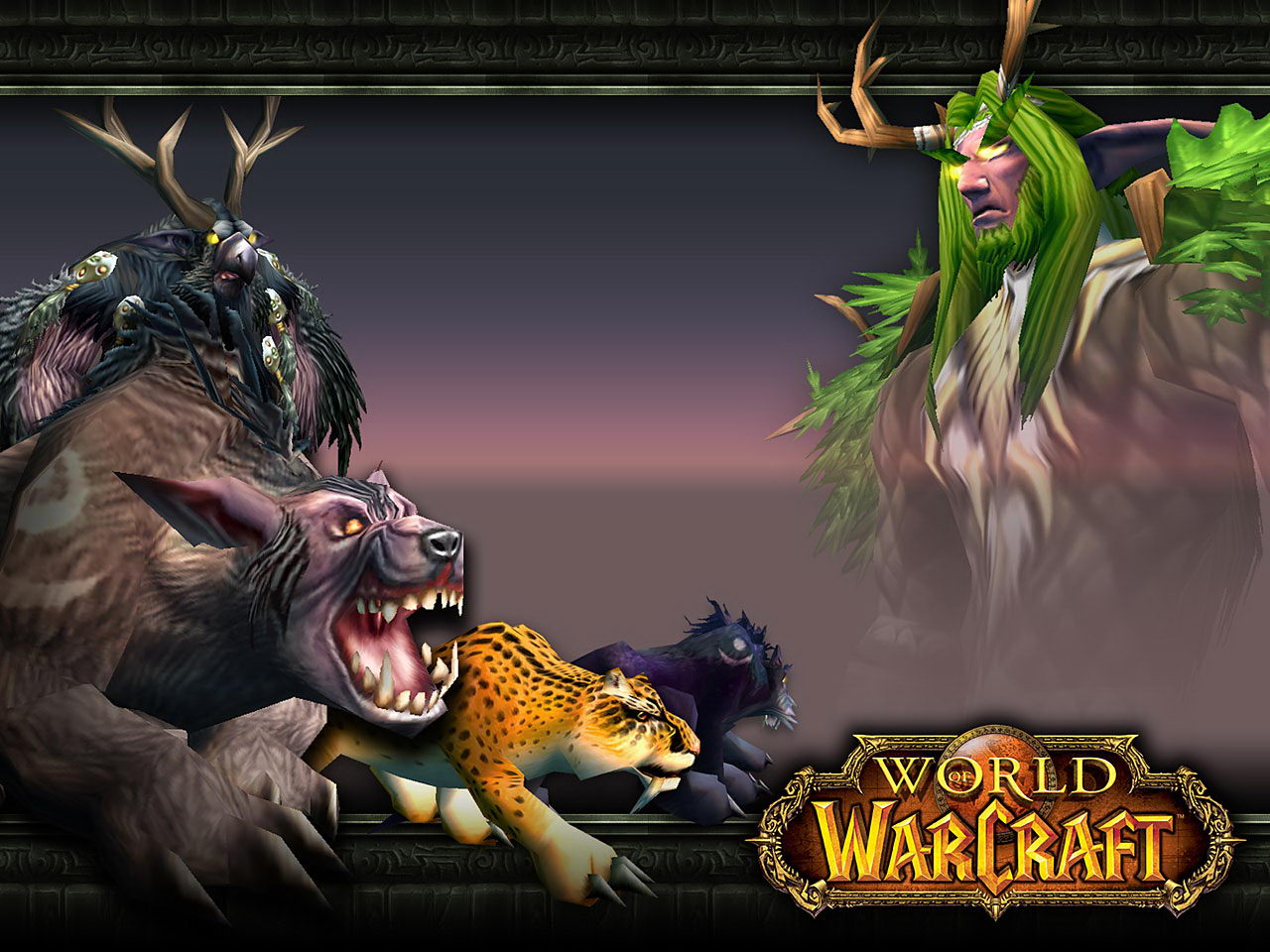 Druid World Of Warcraft