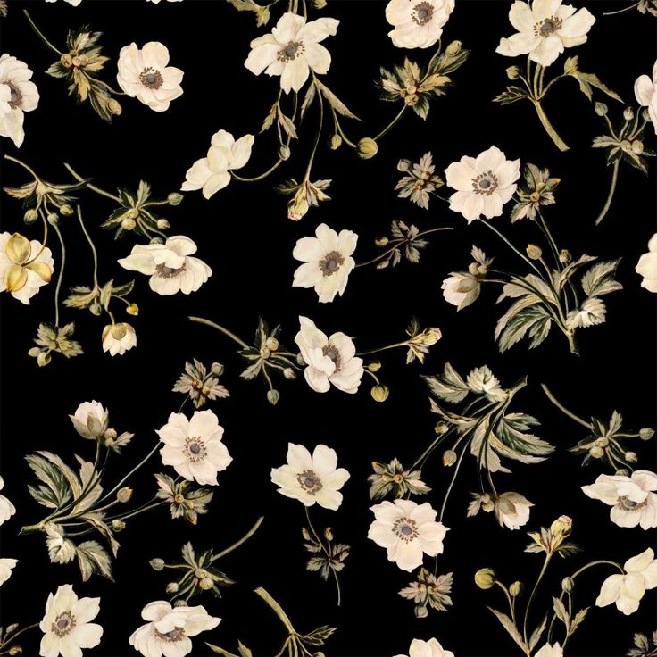96d564696c704fee79daa1ba1e34ea64 Print Design Florals Wallpaper