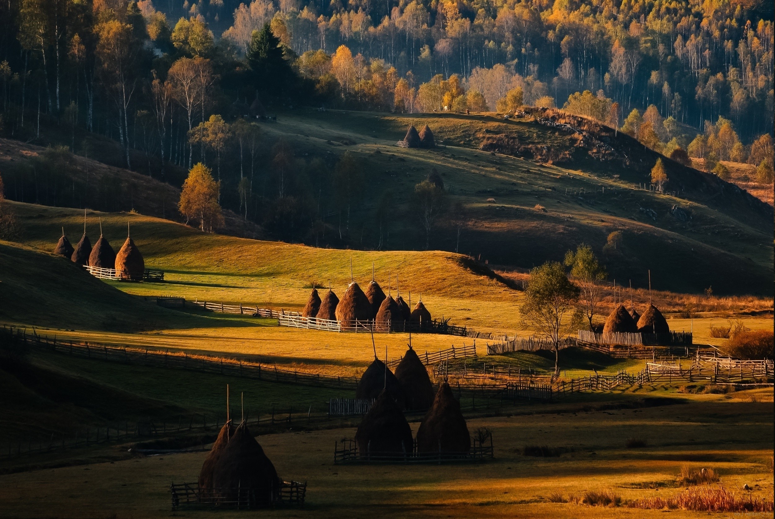 Romania Wallpaper