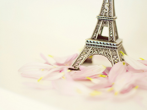 Eiffel Tour Flower Girly Paris Pink Image On Favim