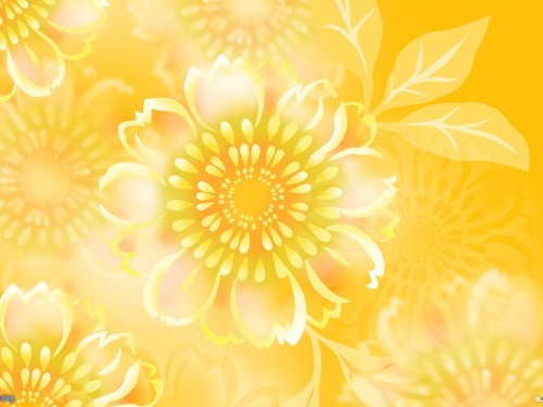 HD Flower Wallpaper Yellow Flowers