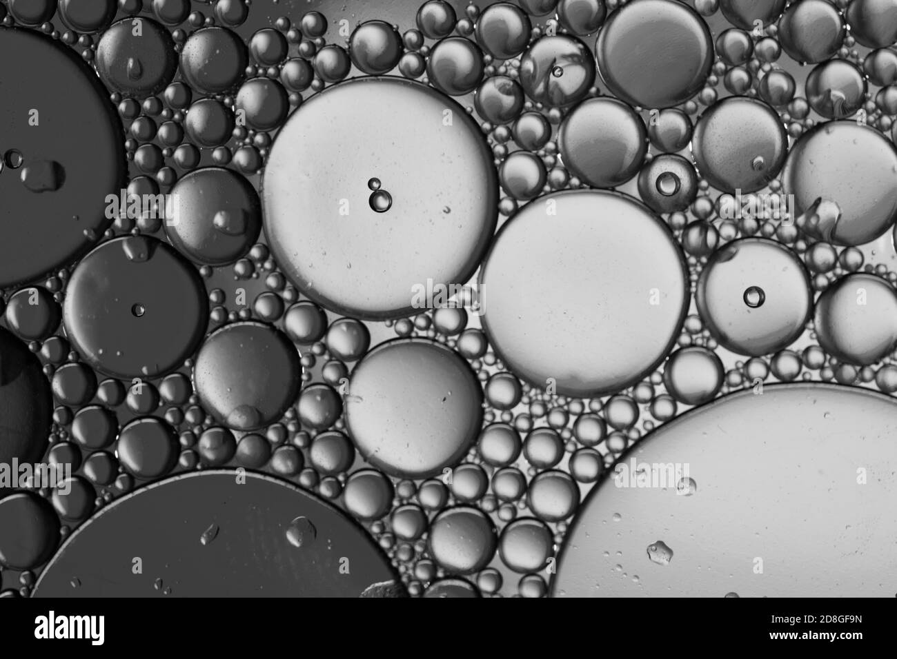 Close Up Oil Bubbles With Black And White Background Macro Image