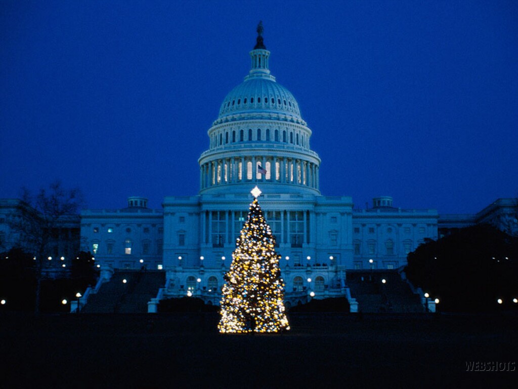 Capitol Greetings Washington DC   Christmas Trees Wallpaper Image