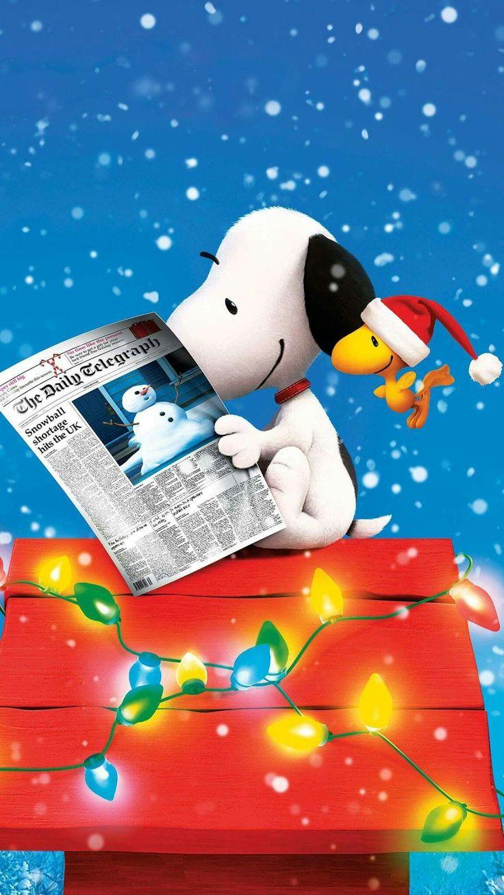 Snoopy Reading A Newspaper And Sitting On His Doghouse Which Is