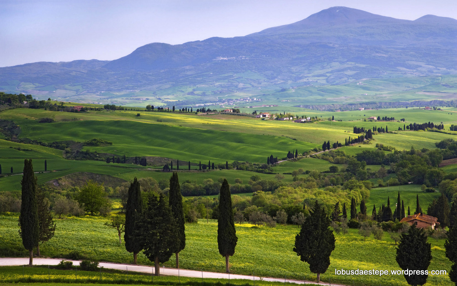 This Beautiful Scene Is In The Val D Orcia Tuscany Toscana Italy