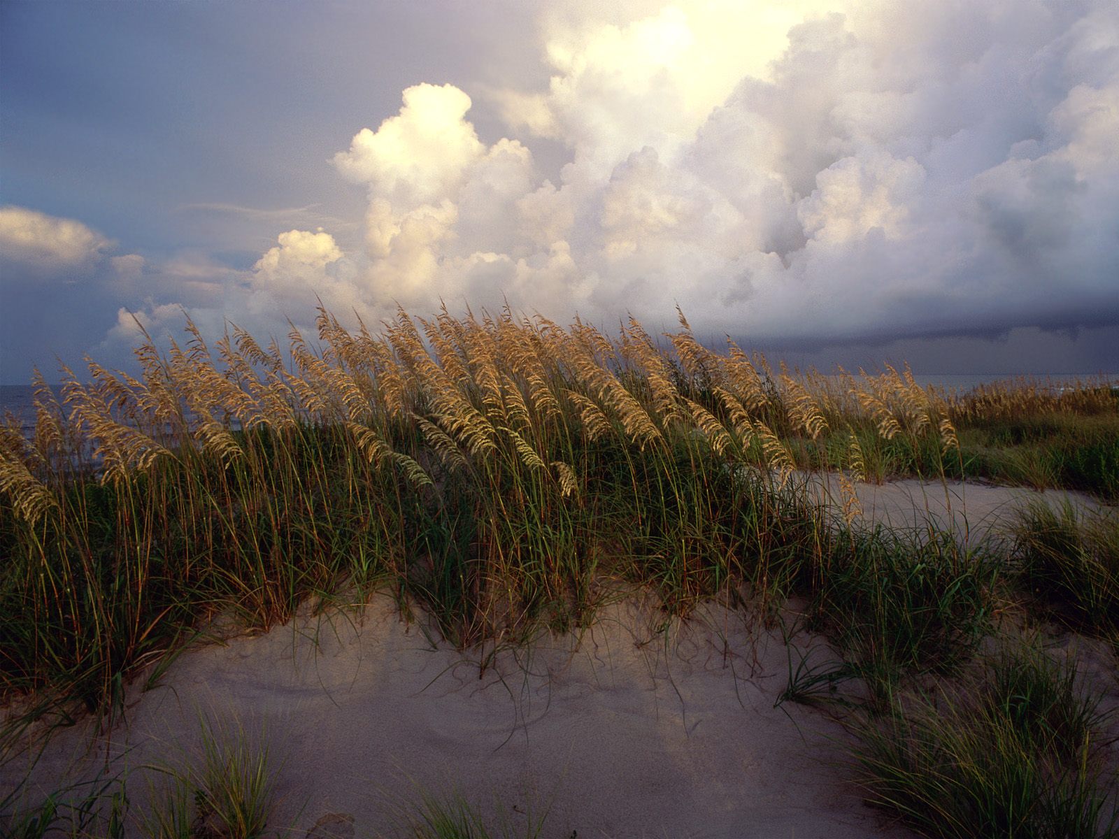 North Carolina Beaches Rivers Oceans Photography Desktop Wallpaper