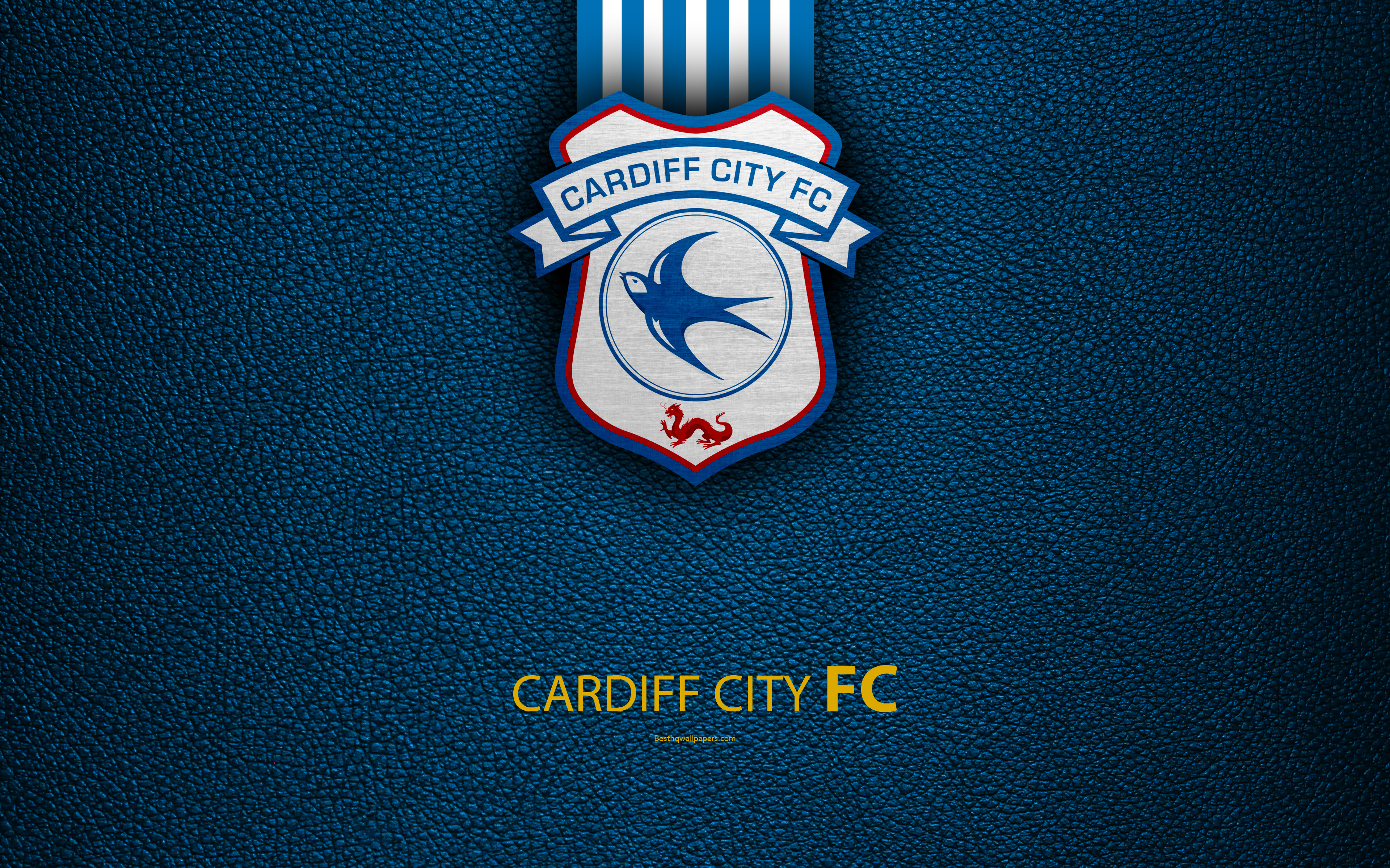 Wallpaper Cardiff City Fc 4k English Football Club