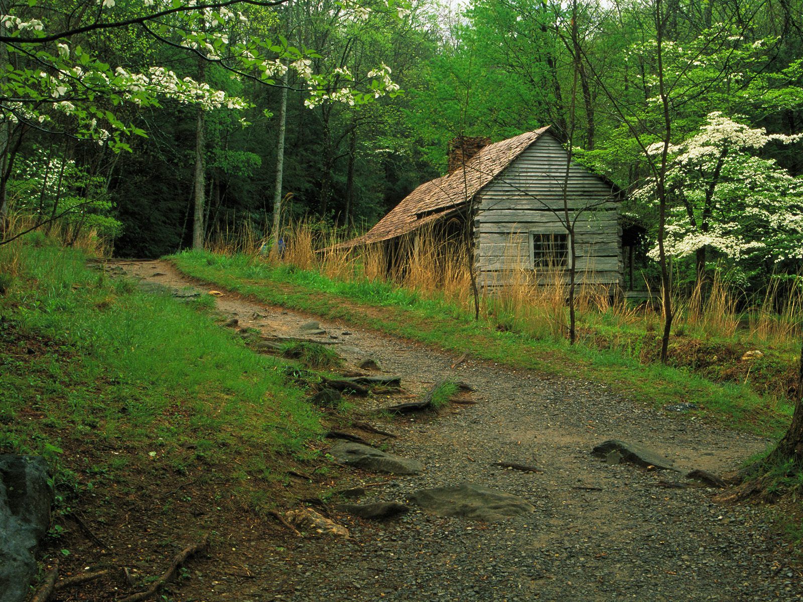 Bud Ogle Cabin And The Roaring Fork Motor Trail Great Smoky Mounta