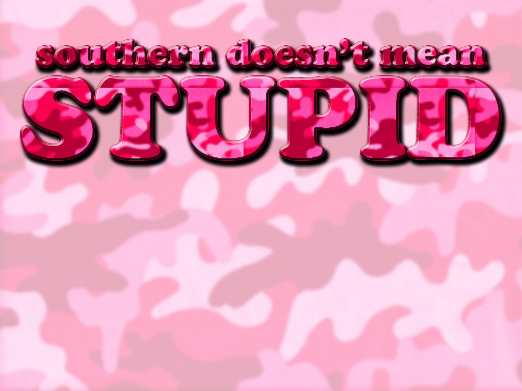 Wallpaper Southern Doesnt Mean Stupid 1024x768