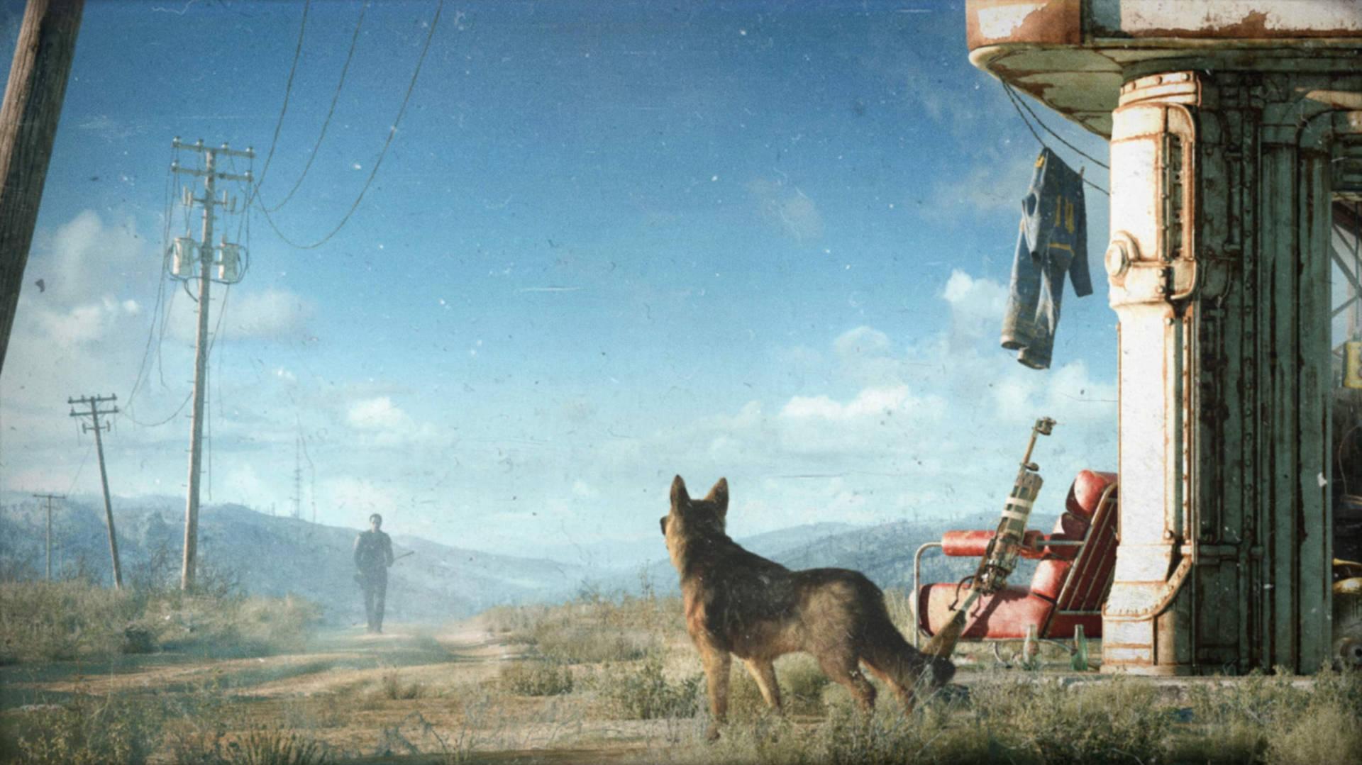 Fallout 4k Dog Looking At Man Wallpaper