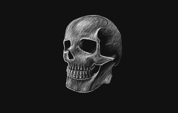 Wallpaper Skull Skeleton Head Dark Background Minimalism