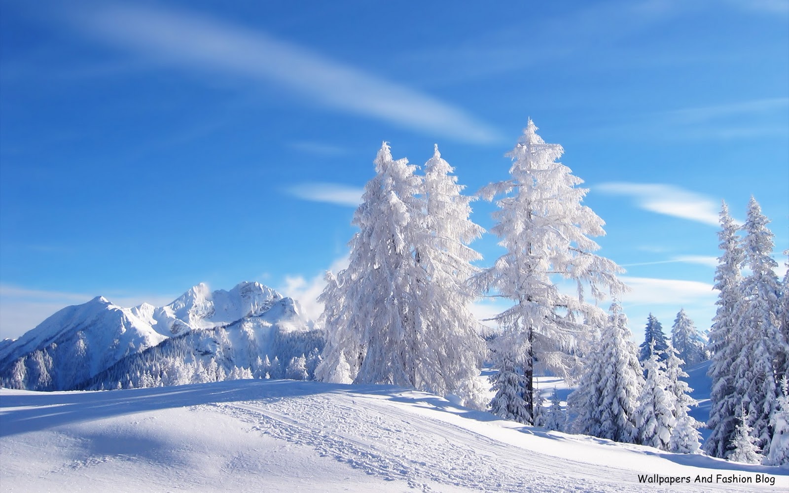 41 Winter Landscape Wallpaper For Desktop On Wallpapersafari