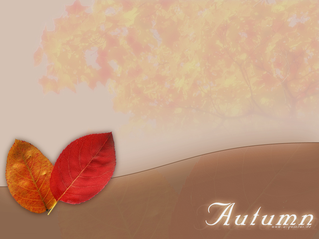 Autumn Background Quintus Theme Desktop Wallpaper