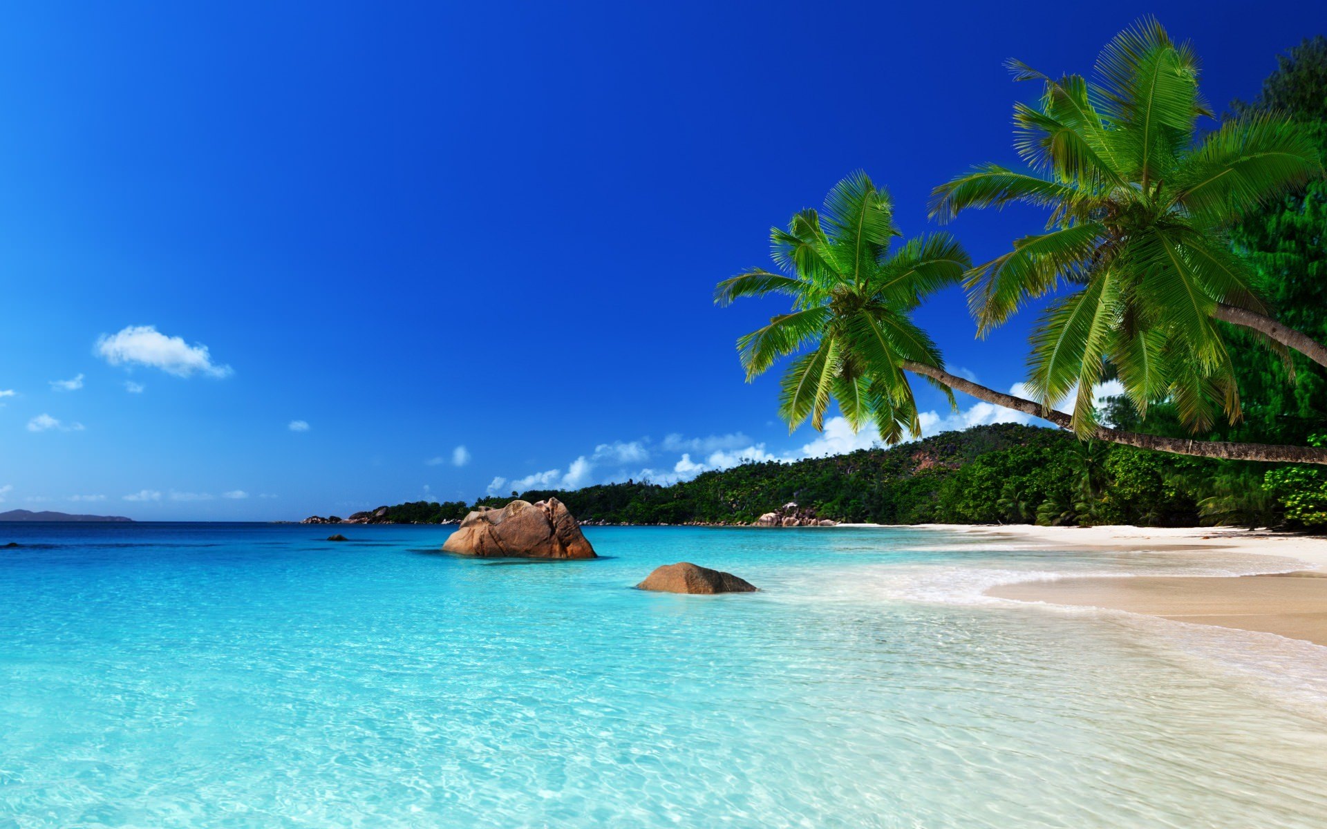 28 Tropical Beach Backgrounds Wallpapers Images Pictures