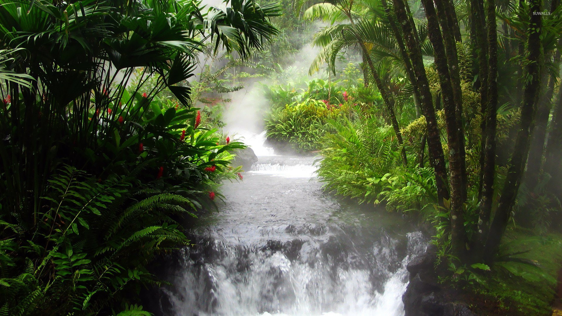 Waterfall in the jungle wallpaper   Nature wallpapers   16143