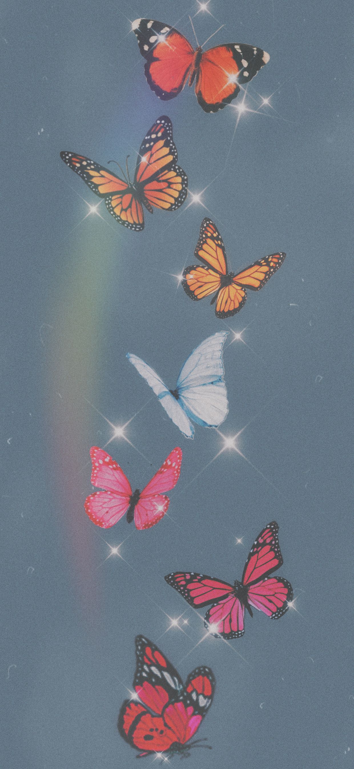 Closeted Lesbian Wallpaper For iPhone