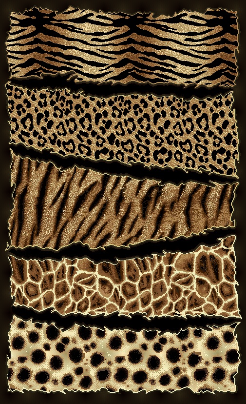 Mixed Animal Print Background Safari Skin Area