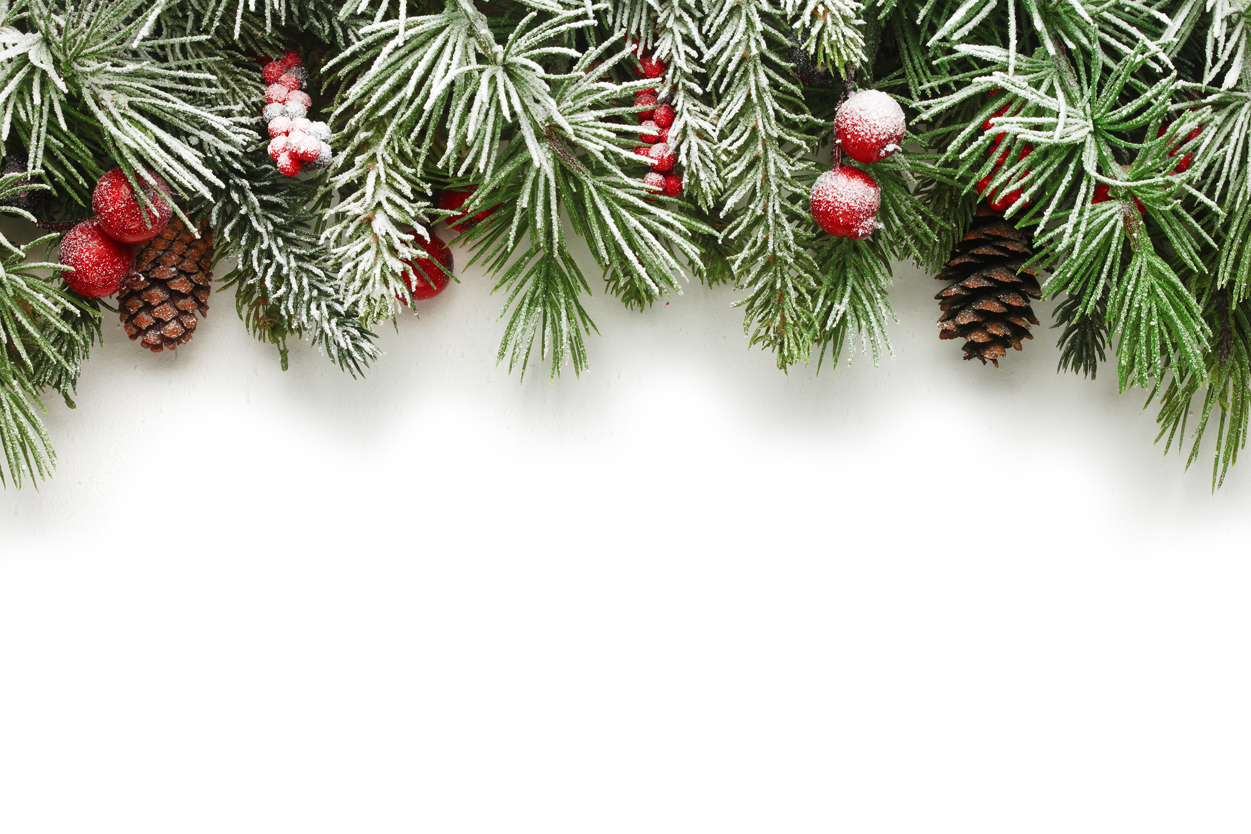 Christmas Background Elizabethan Cater Png Image Pngio
