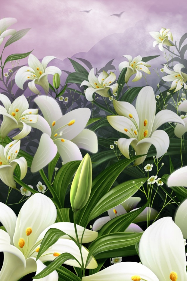  43 White Lilies Wallpaper on WallpaperSafari
