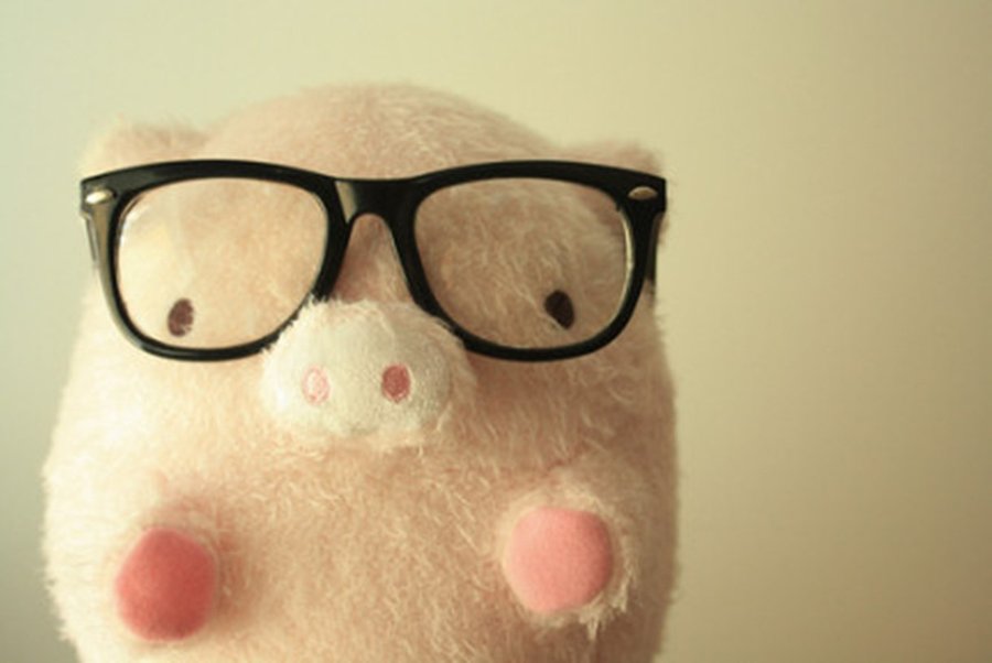 Cute Pig Wallpaper Image Pictures Becuo