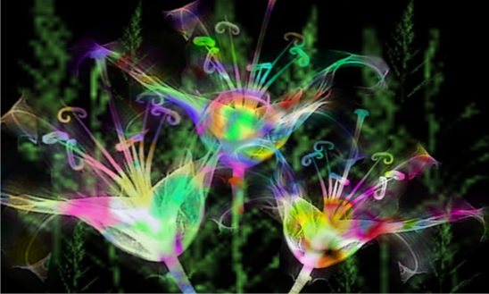4d Neon Flowers Wallpaper For Windows Phone Xyo
