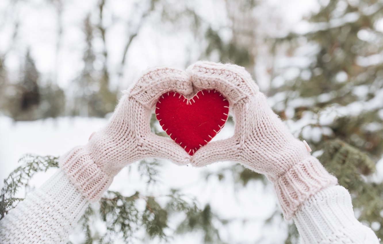 Wallpaper winter snow love heart tree red love heart 1332x850