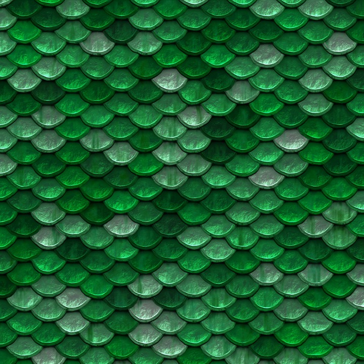 Free Download Background Image Scale Green Free Photo On 720x720 For 