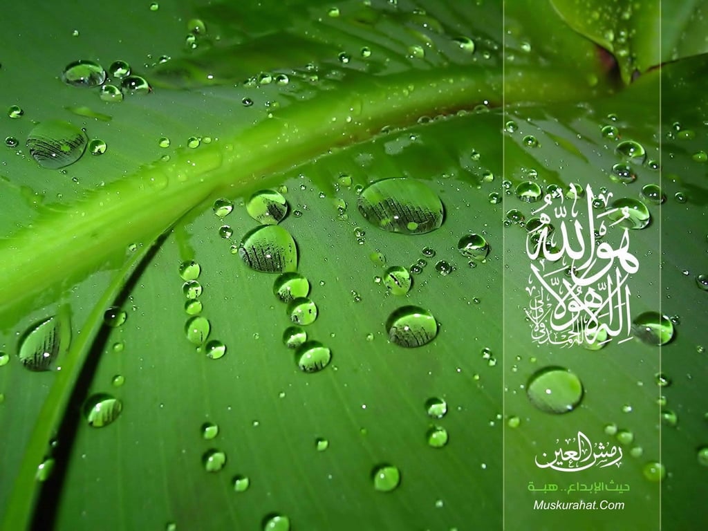 Islamic Wallpapers Page 1