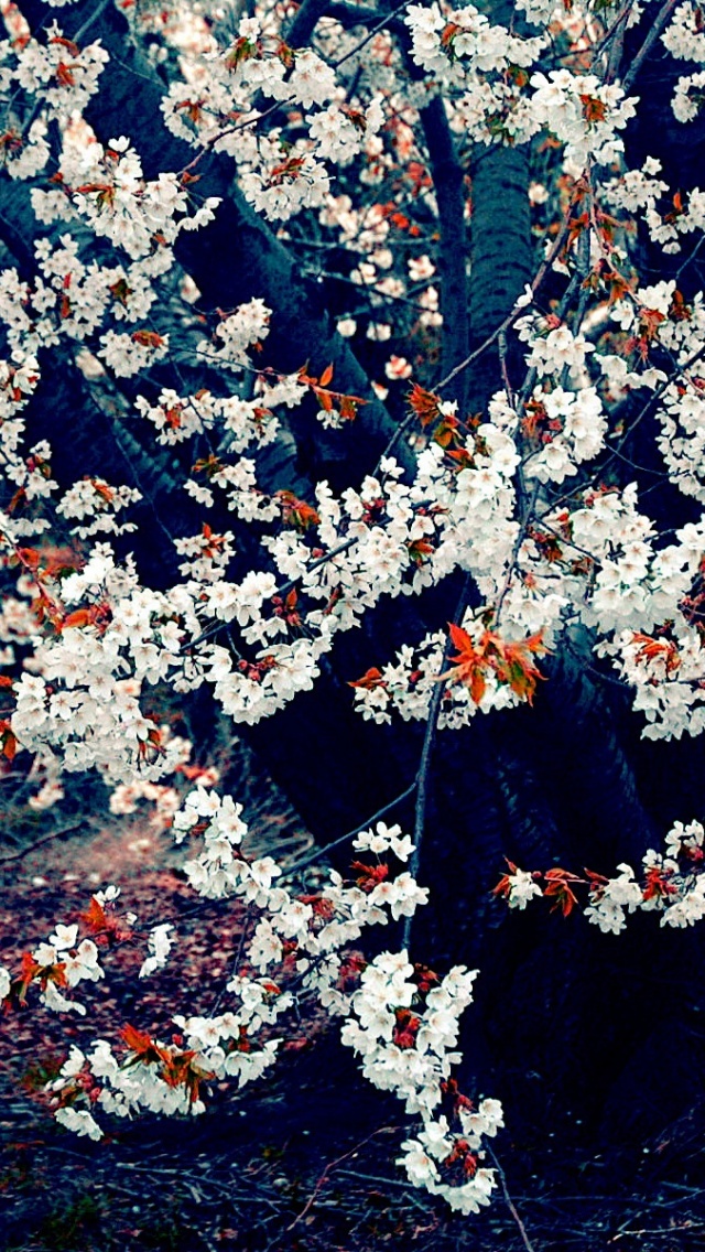 Sakura Sanctuary Ethereal Cherry Blossom Treehous by OdysseyOrigins on  DeviantArt