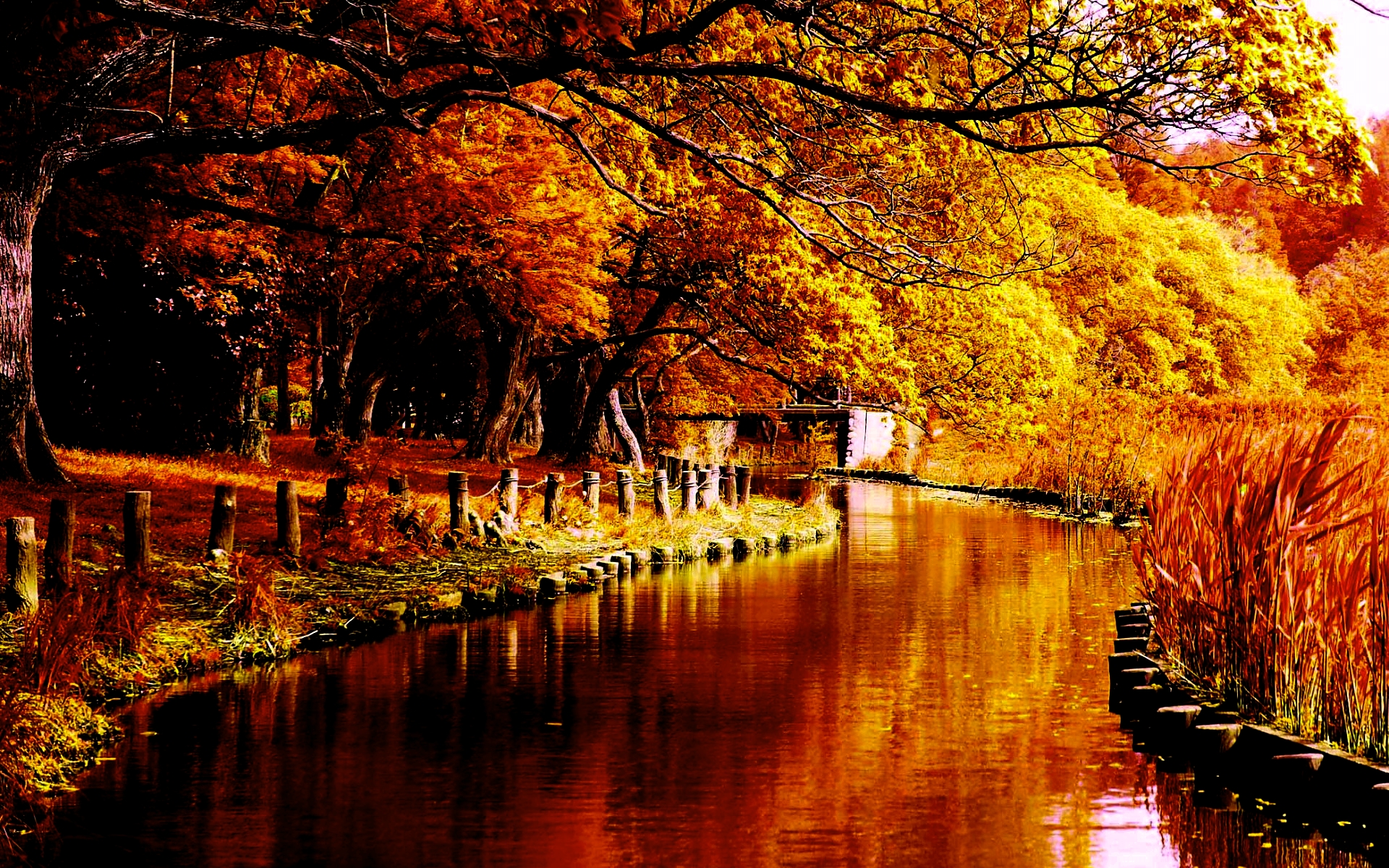 Dedicated To The Joys Of Autumn And Also Best Holiday In