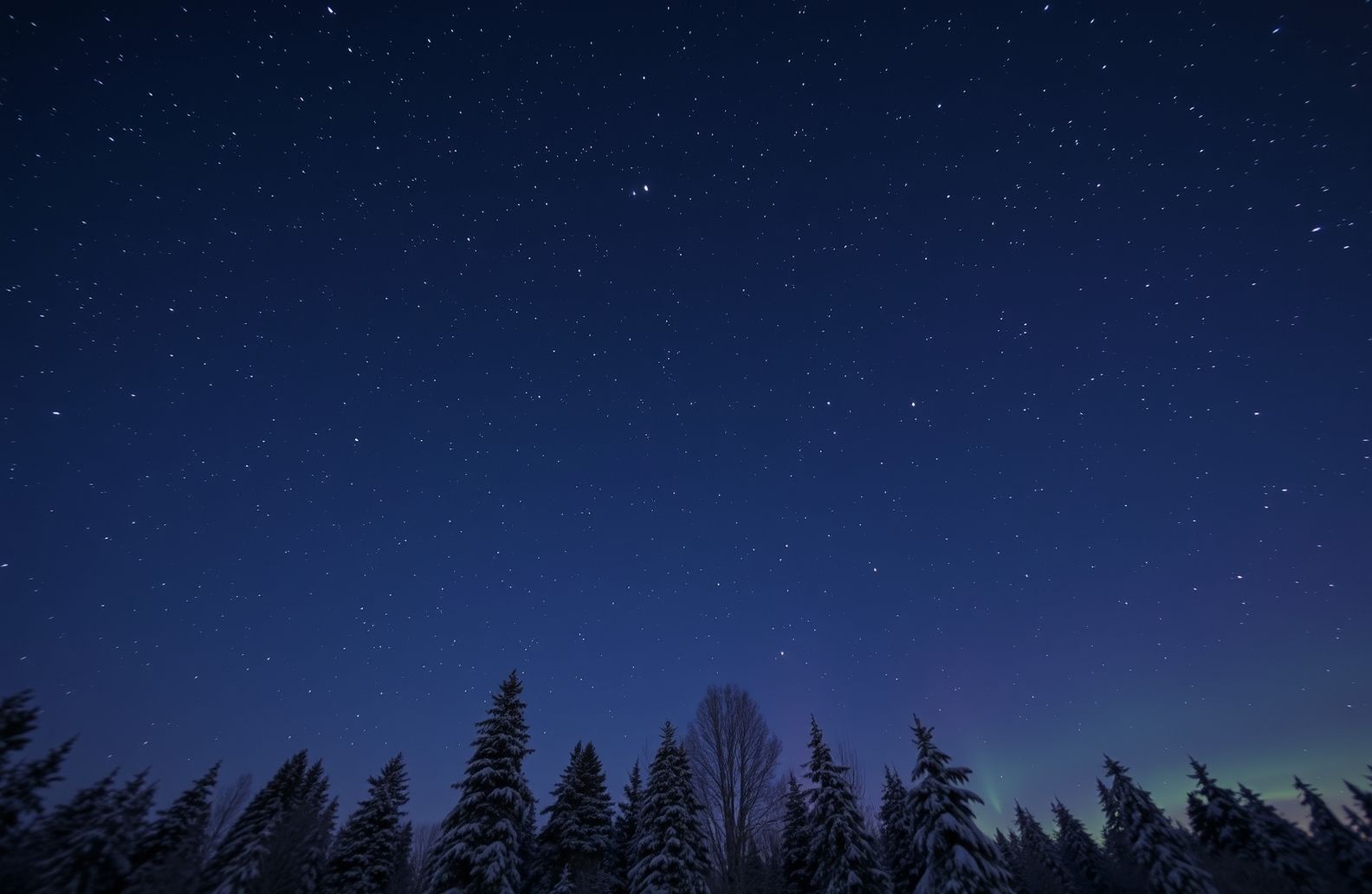 Winter Night Sky Wallpaper