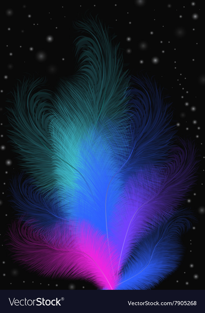 Colorful Feather Background Royalty Vector Image