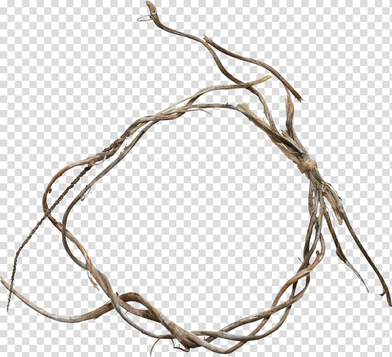 Brown Twigs Twig Branch Scrapbooking Albom Branches Ring