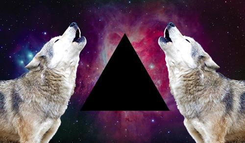 Galaxy Wolf Hipster Triangles Indie
