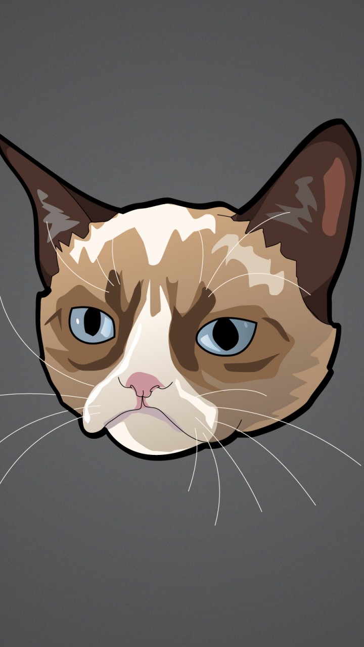 Grumpy Cat Cartoon Galaxy S3 Wallpaper 720x1280