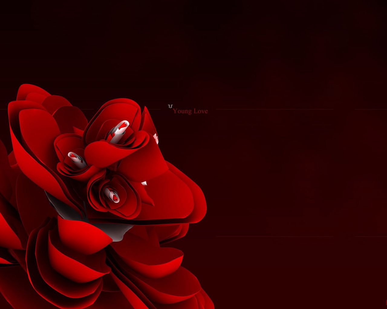 Fondo De Pantalla Rosa Roja Abstracta HD Wallpaper Hq 1080p