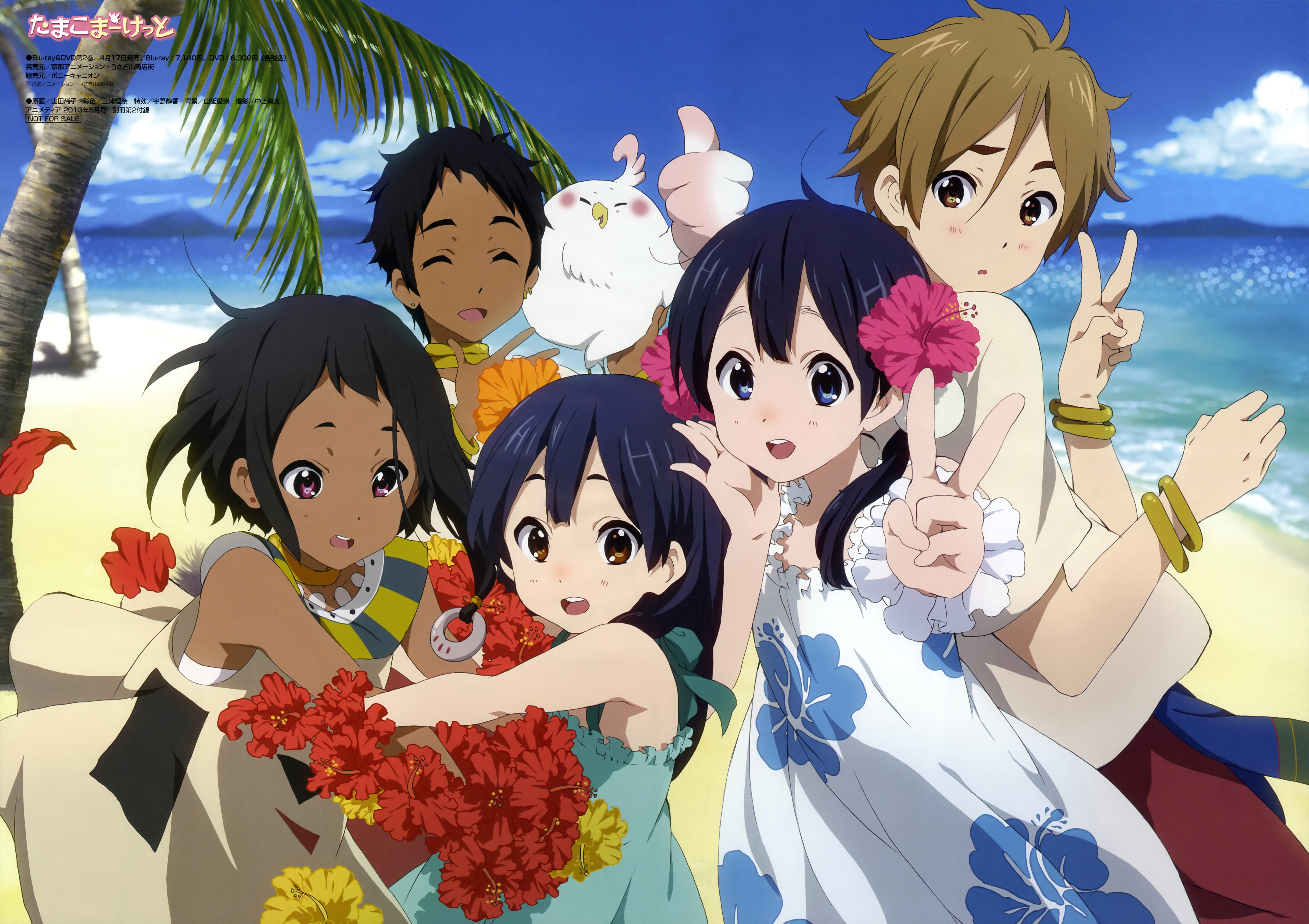 Free Download Tamako Market Zerochan Anime Image Board By Free Download Tamako Market Zerochan Anime Image Board By