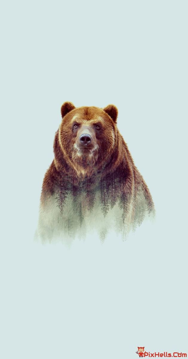 Grizzly bear Art in 2022 Bear art Hd wallpaper app Iphone