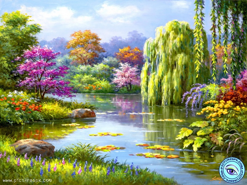 Spring Pond Picture Wallpaper In Resolution