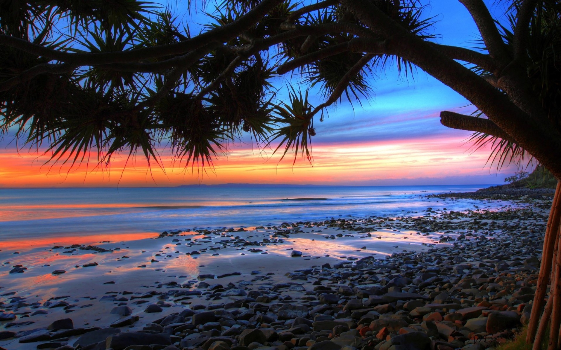 A breathtaking sunset over a rocky beach, with the silhouette of a pandanus tree in the foreground