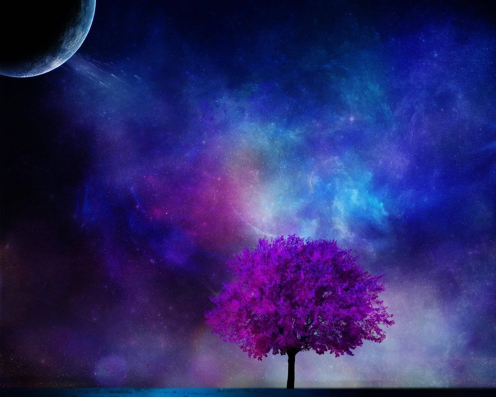 Dark Purple Wallpaper