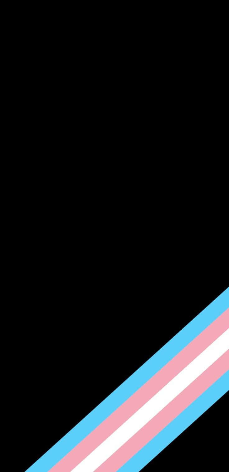 A Transgender Flag With Pink Blue And White Stripe Wallpaper