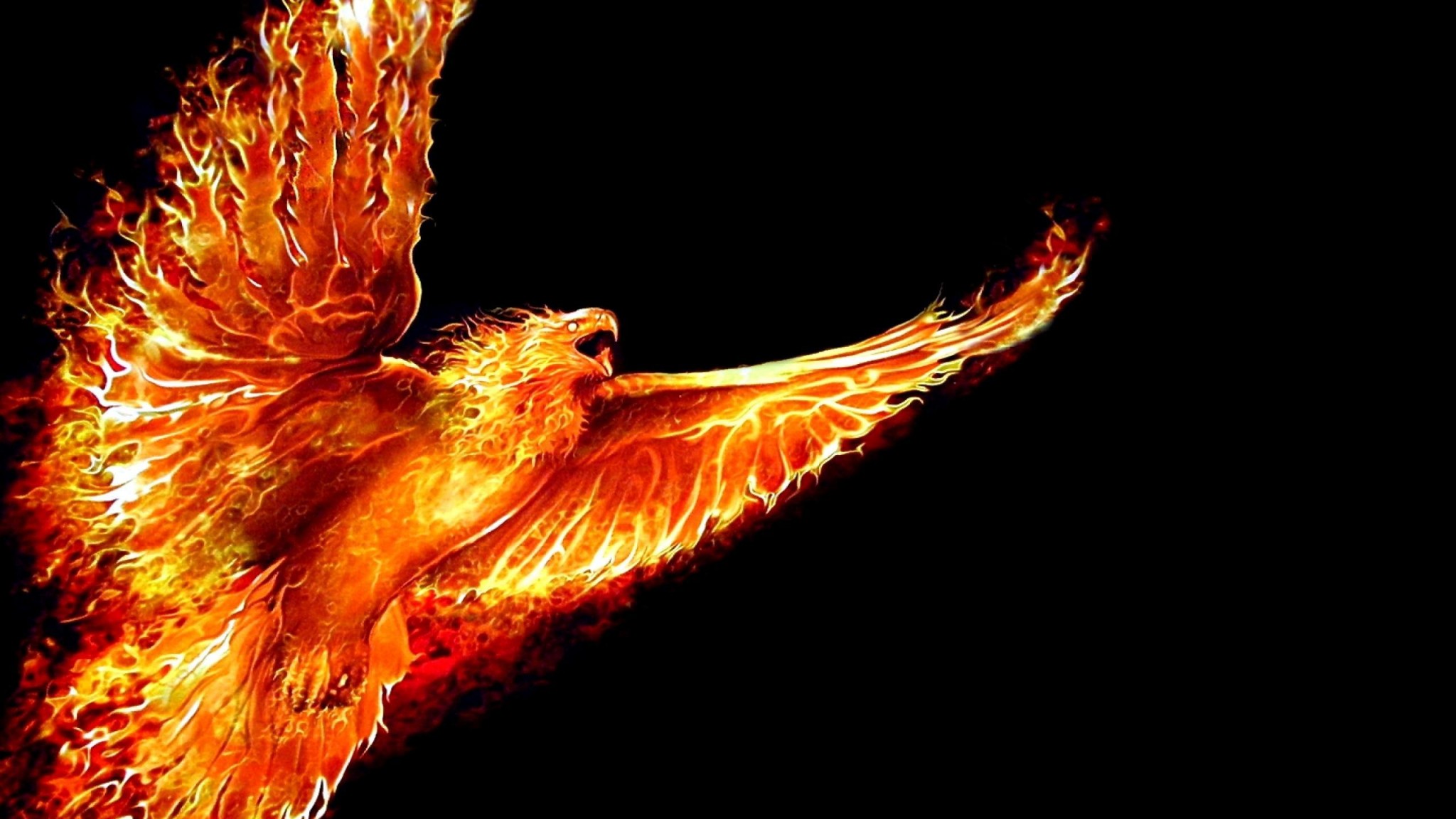 fire phoenix black HD desktop wallpaper Widescreen