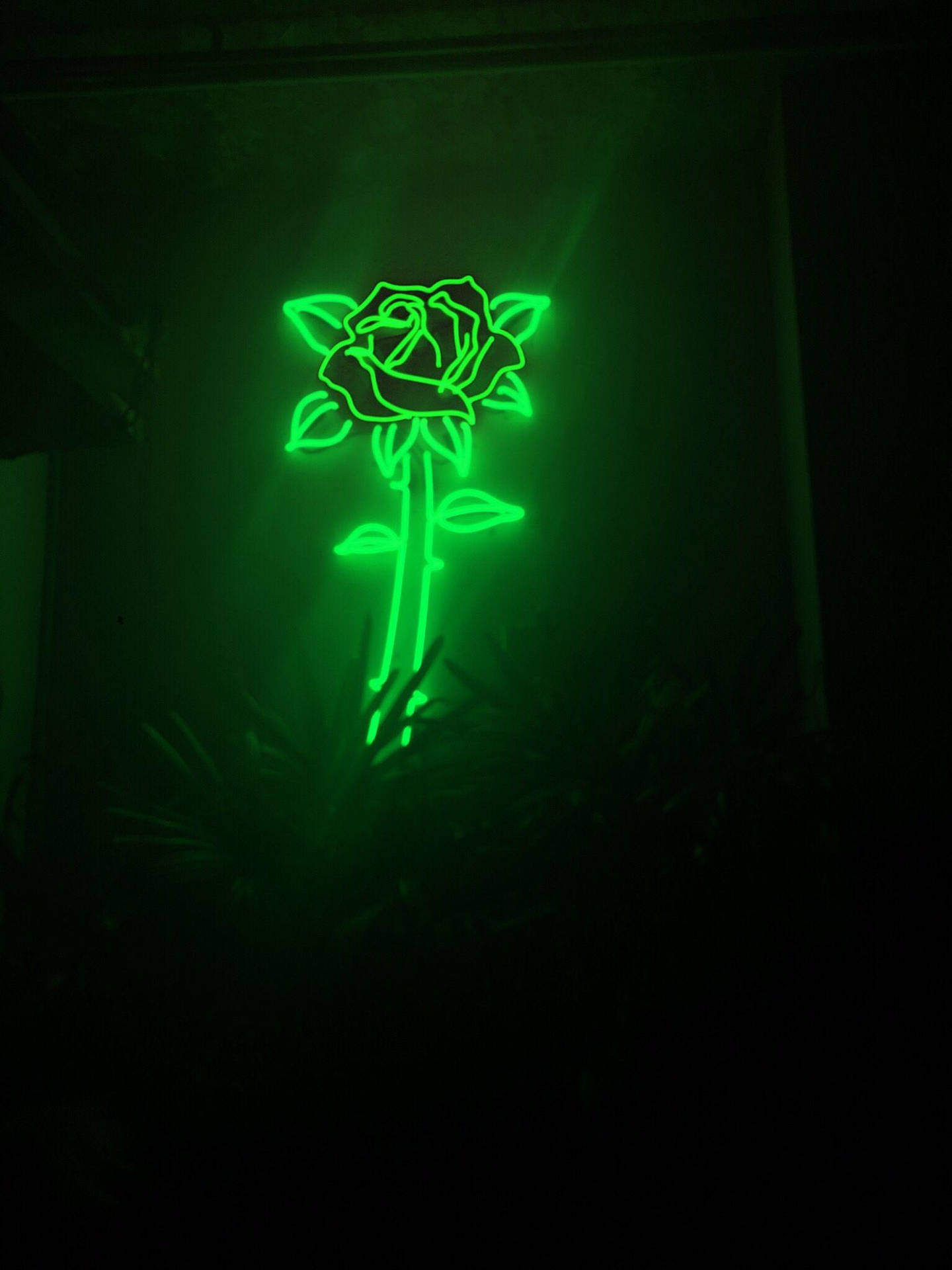 Neon Green Aesthetic Wallpaper S
