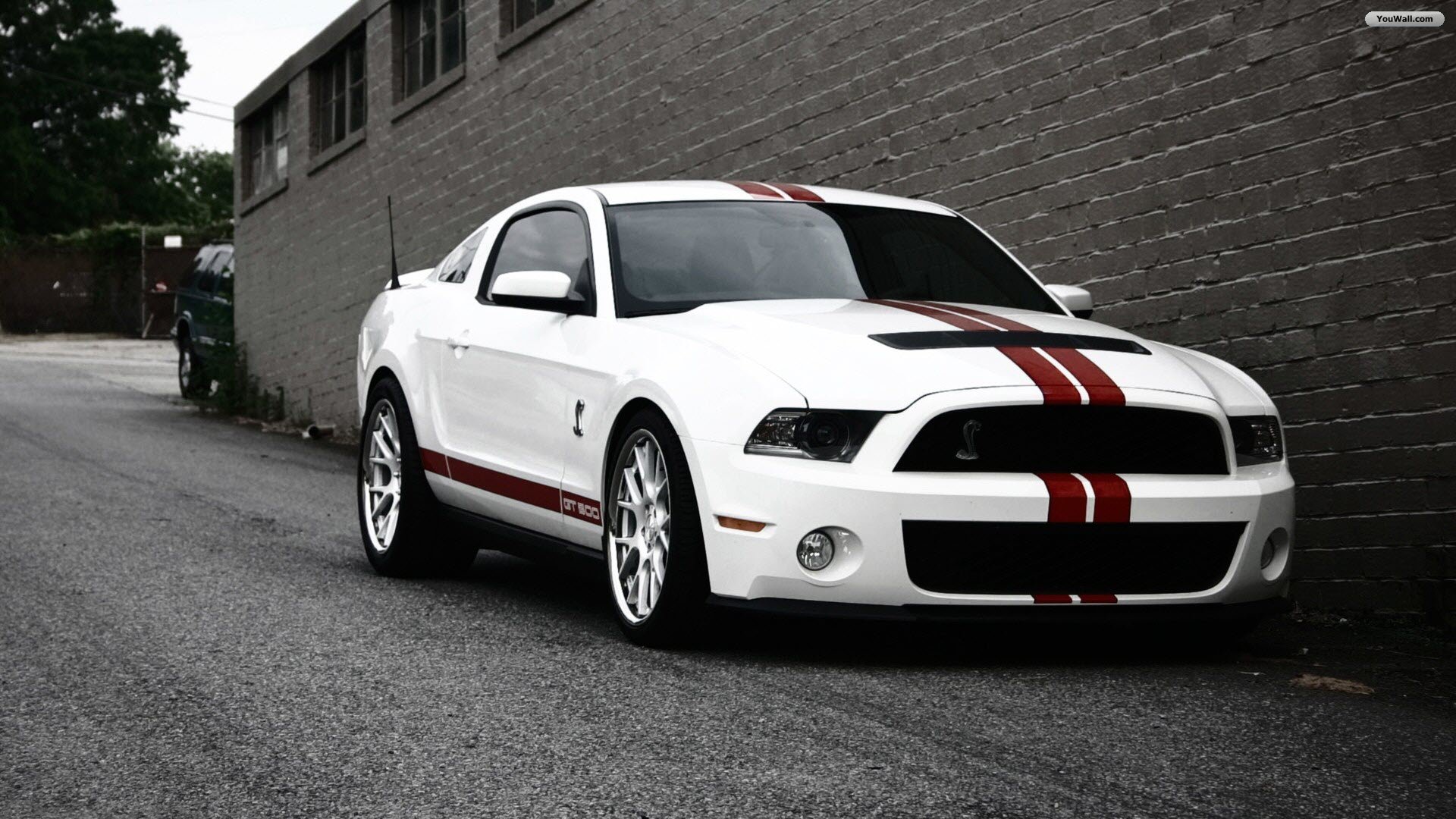 Ford Cars Shelby Wallpaper HD Cool Walldiskpaper