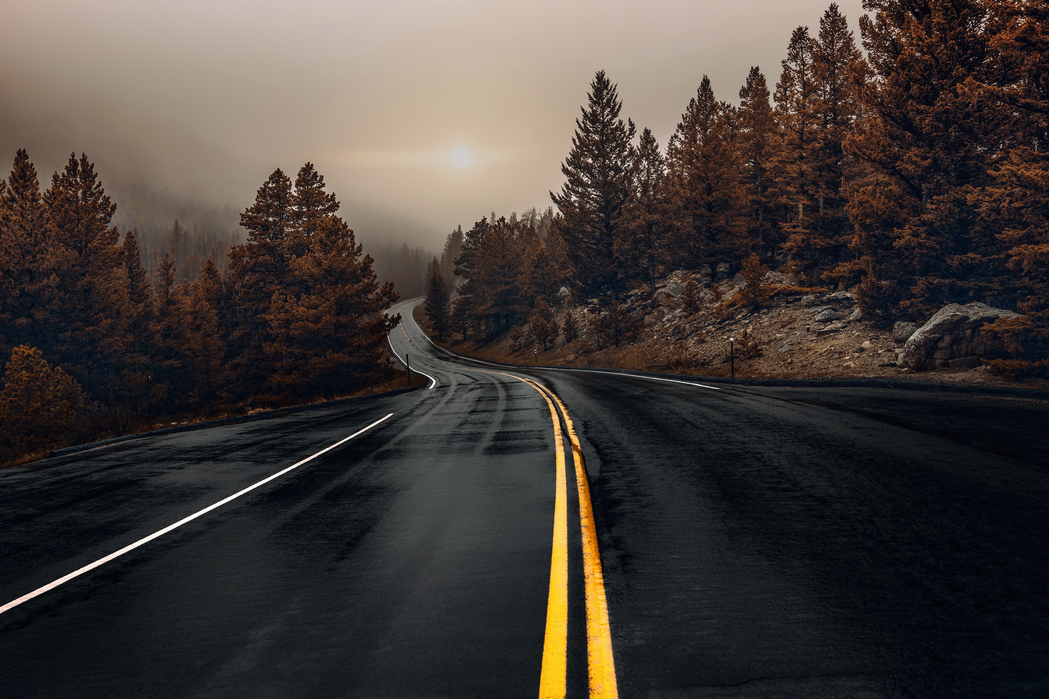 Road HD Wallpaper Background Image Id